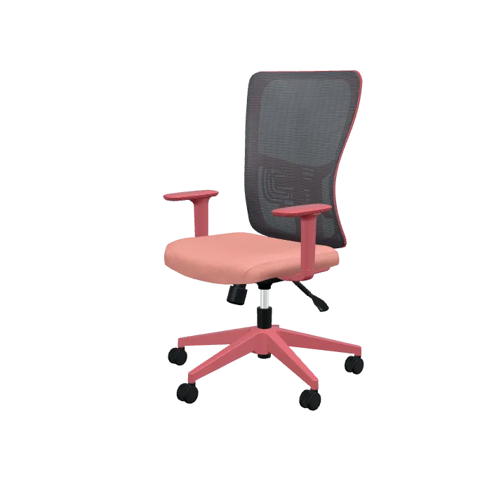 Lumbar Çalışma